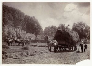 Landbouwscènes, Oogsten & Opslag, Pre-1900 Hooien, ca. 1890