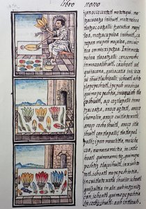 Verenverwerking na de Spaanse verovering, pagina uit de Florentijnse Codex, tweetalige versie in Spaans en Nahuatl, Algemene Geschiedenis van de Dingen van Nieuw-Spanje, door de Spaanse missionaris Fray Bernardino de Sahagun. Azteekse beschaving