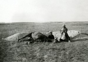 Eerste Wereldoorlog 14-18 (1914-1918): drie Franse soldaten begraven een dood paard - foto op glasplaat - door Unbekannter Künstler