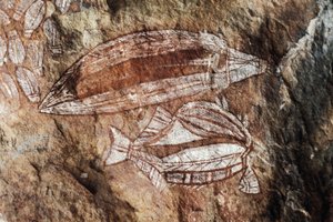 Vis, rotsschildering, Arnhem Land, Noordelijk Territorium, Australië, Aboriginal cultuur