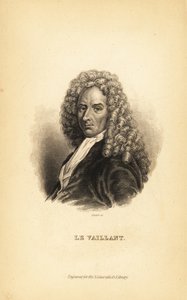 Francois le Vaillant, Franse auteur, ontdekkingsreiziger, natuuronderzoeker en ornitholoog door Unbekannt