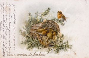 Franse wenskaart met roodborstje en nest elementen door Unbekannter Künstler