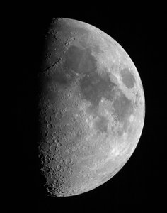 Gibbous Maan door Unbekannt