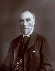 Halflang portret van de onderkoning van de Indiën Thomas Baring, graaf van Northbrook
