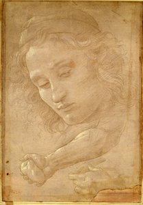 Hoofd van een jongeling, tekening uit een pagina van "Libro dei Desegni" door Georgio Vasari door Unbekannt