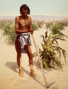 Hopi Man Met Een Schoffel, Arizona door Nicolas Liez