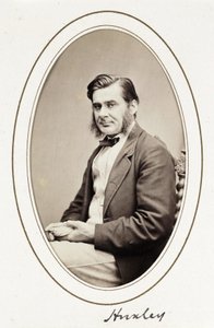 Huxley, ca. 1865 door Unbekannt