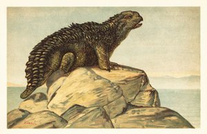 Hylaeosaurus armatus, uitgestorven herbivore ankylosaurische dinosaurus, 1908