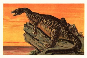 Iguanodon bernissartensis, uitgestorven soort van Iguanodontische dinosaurus, 1908 door Unbekannter Künstler