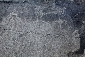Indiase Petroglyfen - Dier- en symbolische representatie - Petroglyph National Monument - Albuquerque, New Mexico, VS