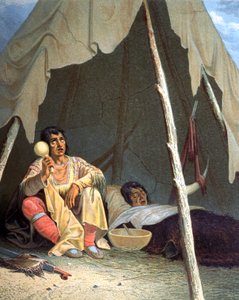 Indiaanse stammen van de Verenigde Staten