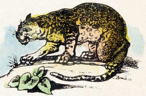 J - Jaguar - Alfabet - kinderentertainment - Image epinal, populaire serie c.1890 door Unbekannt
