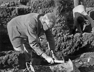 Koning Gustave van Zweden door Unbekannt