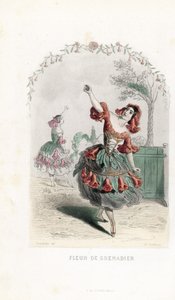 De granaatappelbloemfee danst - Les fleurs animées door Unbekannter Künstler