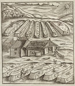 De voorbereiding van salpeter - Gravure uit Beschrijving van de ertsen en de belangrijkste mijnbouwmethoden, door Lazarus Ecker