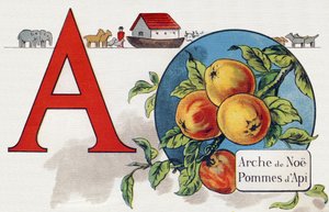 Letter A: Ark van Noach, Apy Appel (uit ABC L