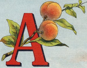 Letter A: abrikoos