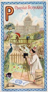 Letter P: paleis, paviljoen, paraplu, fotograaf, brug, vissen, pauw, pensee. Gravure van het Alfabet uitgegeven door Chocolat Suchard, begin 20e eeuw. 24 chromolithografieën.