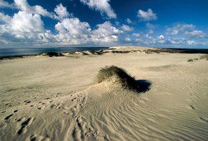 Zandduinen genaamd Pruisische Sahara, Nida, Koerse Schoorwal, Litouwen door William M. Timlin
