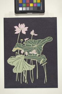 Lotus door Unbekannter Künstler