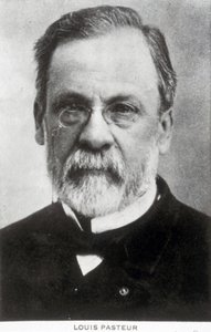 Louis Pasteur, Franse chemicus en microbioloog, ca. 1885 door Unbekannter Künstler