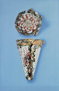Louis XV gouden snuifdozen in de vorm van schelpen door B. Sagaret, Parijs (1715-74) door Unbekannt