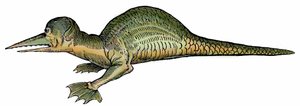 Mariene draak (Draco marinus), xylografie uit Paralipomena accuratissima historiae omnium animalium quae in voluminibus Aldrovandi desiderantur door Bartholomaeus Ambrosinus door Unbekannter Künstler