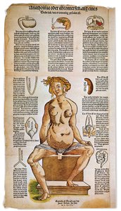 Geneeskunde: anatomisch bord dat de vrouwelijke anatomie beschrijft uit een Renaissance medisch traktaat. Rond de figuur van een zittende vrouw zijn vitale organen zoals de lever, longen en middenrif, maag en voortplantingsapparaat geïllustreerd. Kleurengr door Unbekannter Künstler