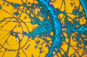 Aluminiumbrons, lichtmicrografie
