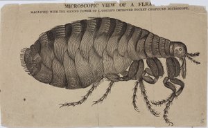 Microscopie