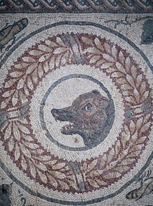 Mozaïek van het peristilium. Detail van een berenkop. 3e - 4e eeuw. Romeinse Villa van de Casale, Sicilië. UNESCO-site. door William M. Timlin