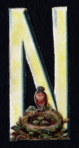 N als Nest. Kever decoupis over het thema dieren. Gravure. Serie van 26 wafelchromolithografieën van Engelse oorsprong. Eind 19e eeuw.