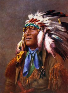Inheemse Amerikaan in traditionele kleding