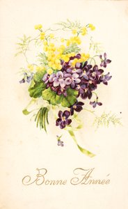 Oude ansichtkaart/Viooltje en Mimosa