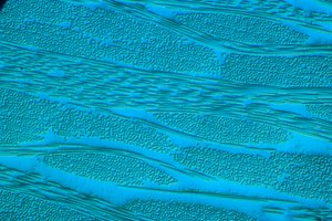 POLYMEER, LM GRP glasvezelversterkt plastic