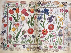 Pagina