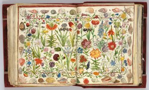 Pagina