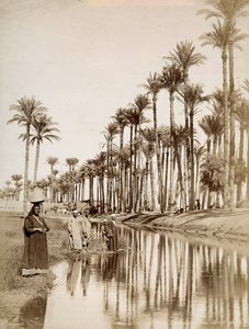 Palmbomen langs de rivier de Nijl. Op de voorgrond mannen in traditionele kleding door Unbekannter Künstler