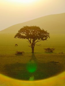 Paradijs na de regen, Chyulu Hills