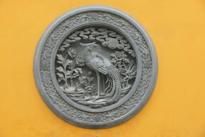 Phoenix, Shanghai, China
