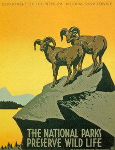 Poster ter bevordering van de biodiversiteit van nationale parken door Unbekannter Künstler