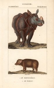 Neushoorn en daman - Gravure door Jean Gabriel Pretre, gegraveerd door Carnonkel, voor het woordenboek van natuurwetenschappen: zoogdieren door Frederic Cuvier, bewerkt door Pierre Jean Francois Turpin