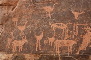 Rotstekeningen, Prehistorie: Detail van een gravure van een set struisvogels en vee in het Uweinat-massief, Egypte (Periode van 8000 tot 3000 jaar v.Chr.). Fotografie door Unbekannt