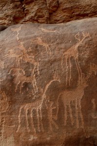 Rotstekeningen, Prehistorie: Gravure van giraffen, struisvogels, schapen, hond en figuur in het Uweinat-massief, Soedan (Karkur-Talh of Karkur Talh). Periode van 8000 tot 3000 jaar v.Chr. Fotografie door Unbekannt