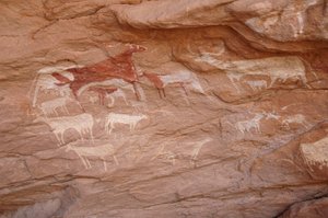 Rotstekeningen, Prehistorie: Schildering van een groep vee in een versierd onderkomen, in het Uweinat-massief, Soedan. Fotografie