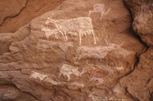 Rotstekeningen, Prehistorie: Rotsschildering van een groep vee in een versierde schuilplaats, in het Uweinat-massief, Soedan (Karkur-Talh of Karkur Talh). Periode van 8000 tot 3000 jaar v.Chr. Fotografie