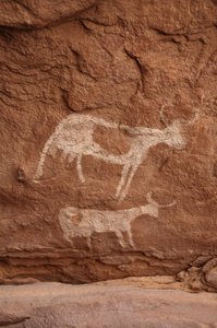 Rotstekeningen, Prehistorie: Rotsschildering van twee koeien met grote hoorns (langhoorn) in een versierd onderkomen, in het Uweinat-massief, Soedan (Karkur-Talh of Karkur Talh). Periode van 8000 tot 3000 jaar v.Chr. Fotografie