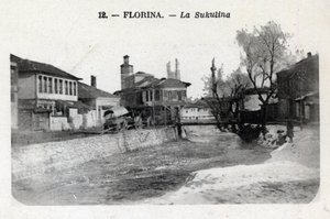 Servië, Florina (hedendaags Griekenland): uitzicht op de Sukulina - Ansichtkaart 1914-1918 door William M. Timlin