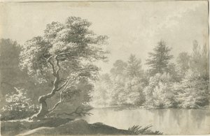 Shenstone - Vijver bij Little Aston: sepia was tekening, nd [19e eeuw] door Unbekannt