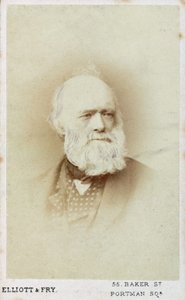 Sir Charles Lyell, Engelse geoloog, ca. 1865-1875 door Unbekannt